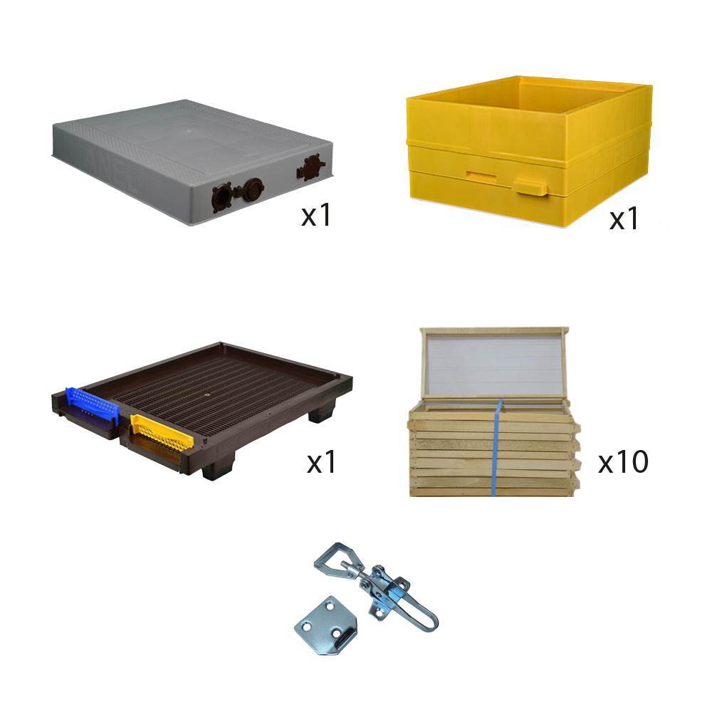 HONEY MASTERS - AN51610VV4SSTcollection