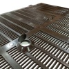HONEY MASTERS - AN58001A 2