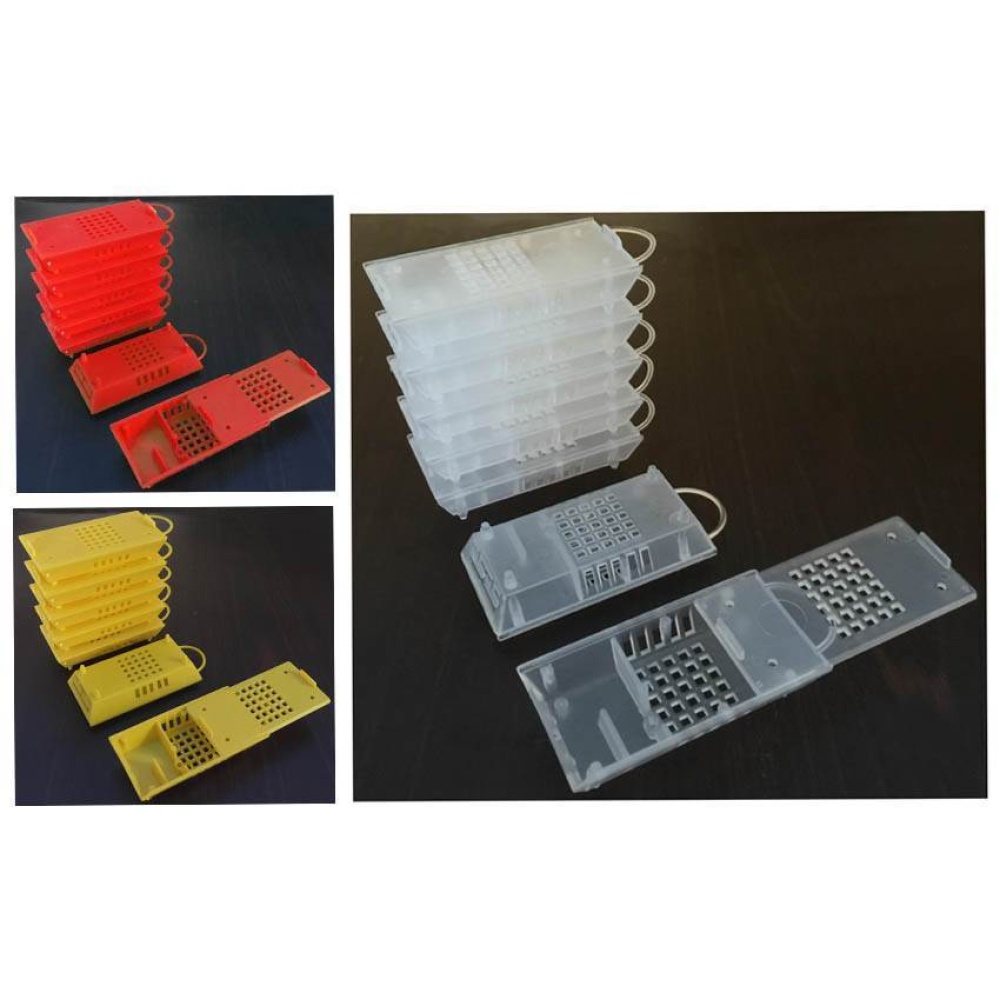 Queen Introduction Cage