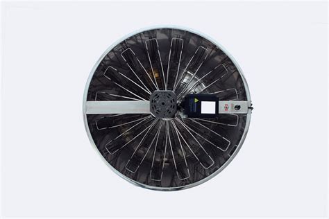 HONEY MASTERS - MZ55216