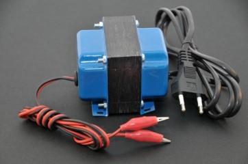 HONEY MASTERS - PI50310