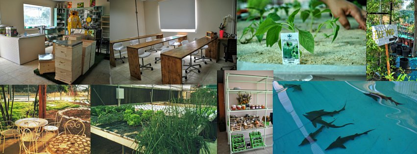 HONEY MASTERS - contact us