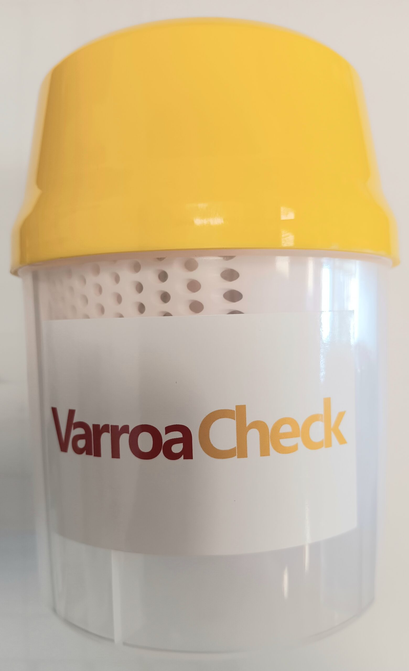 HONEY MASTERS - CA125824 scaled