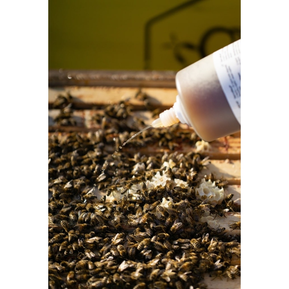 HONEY MASTERS - VarroMed 555ml 1