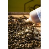 HONEY MASTERS - VarroMed 555ml 1