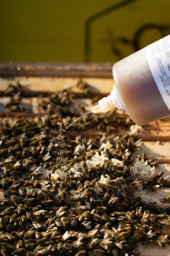 HONEY MASTERS - VarroMed 555ml 1