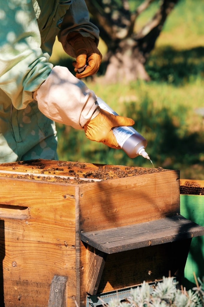 HONEY MASTERS - VarroMed 555ml