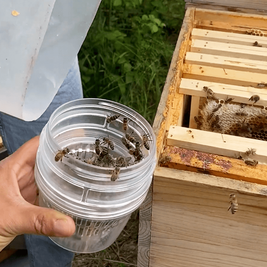 HONEY MASTERS - Varroa Tester 3 in 1