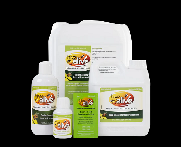 HONEY MASTERS - hive alive