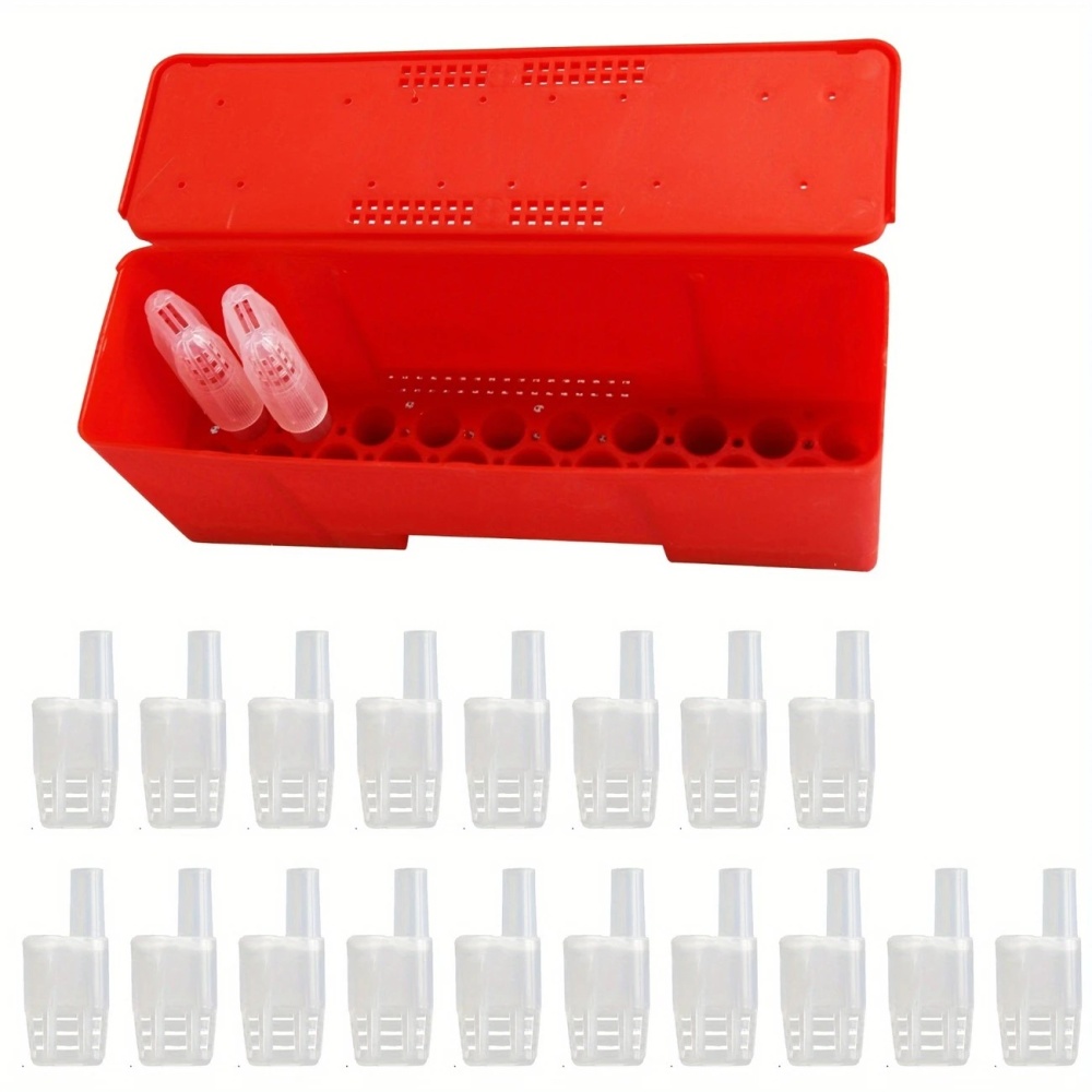 20-Pack BeeMaster Queen Transportation of Queen Cells