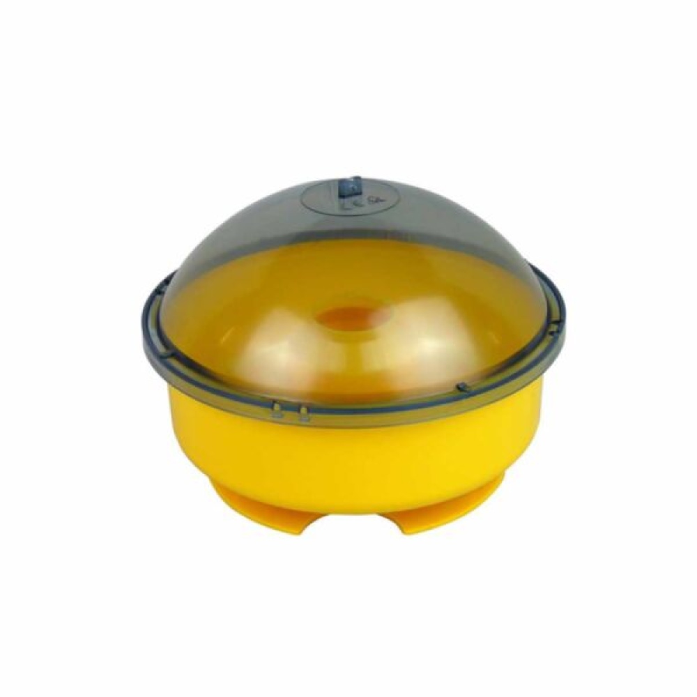 Pot for Wasp Trap