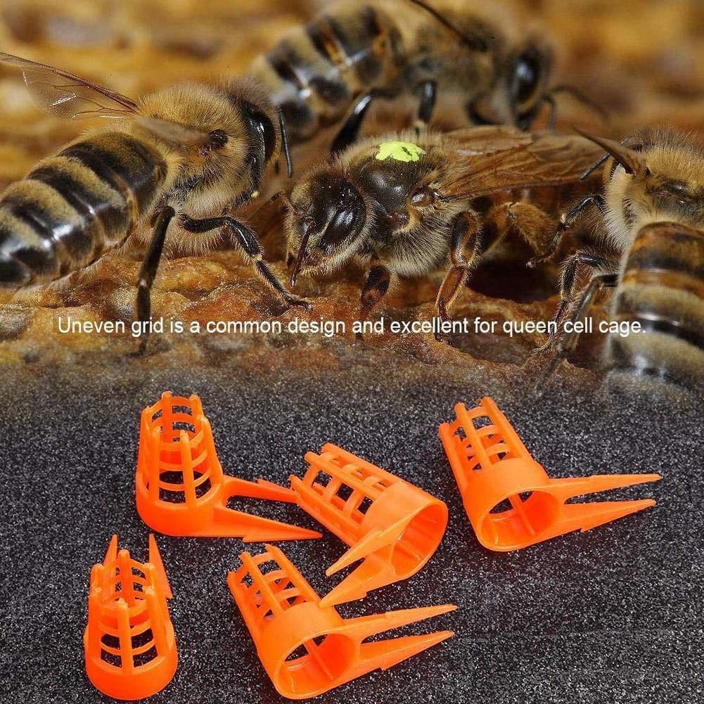 HONEY MASTERS - Bee Queen Cage Cover