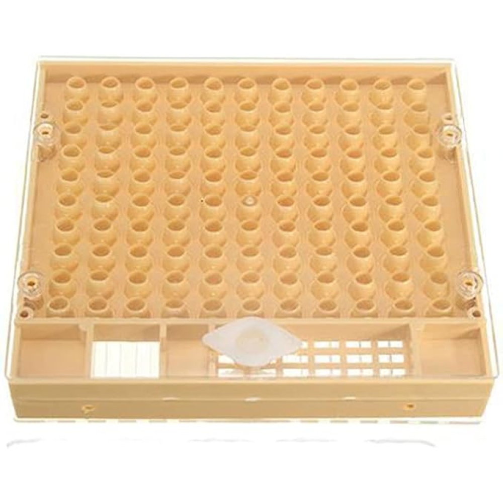 Queen Breeding Box