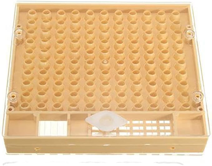 HONEY MASTERS - Queen Breeding